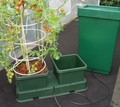 Easy To Grow Kit